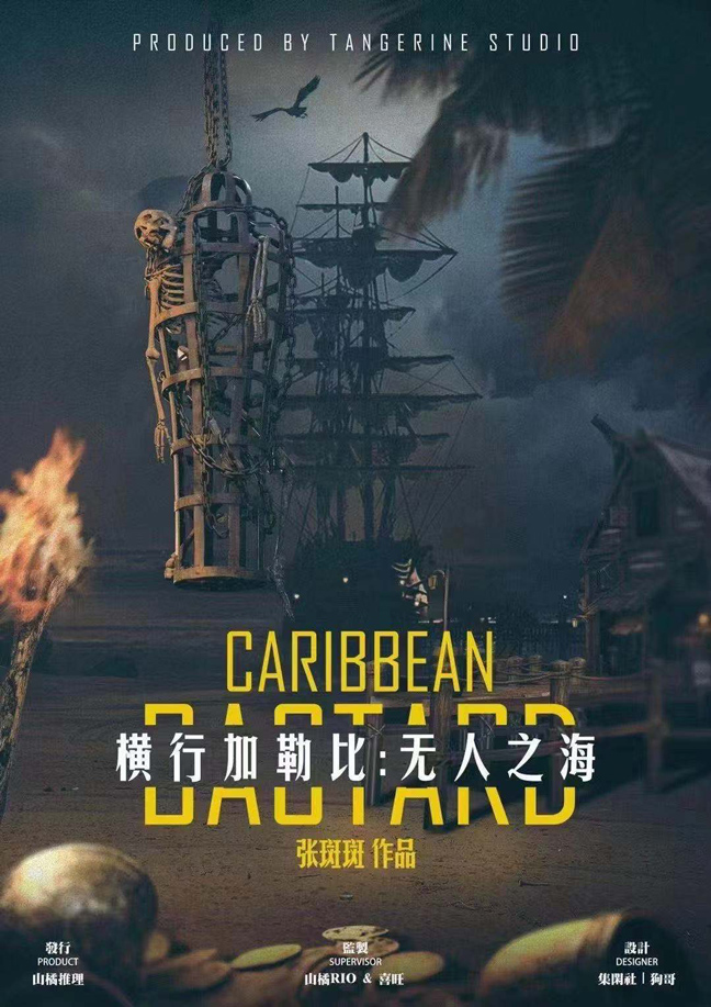 『横行加勒比：无人之海』剧本杀复盘凶手真相解析